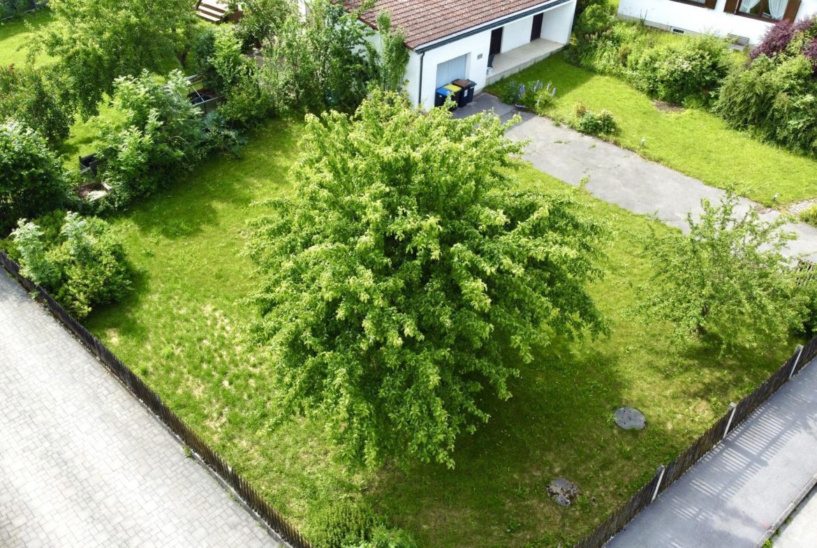 K1600 dji fly 20240604 160844 888 1717510184640 photo optimized