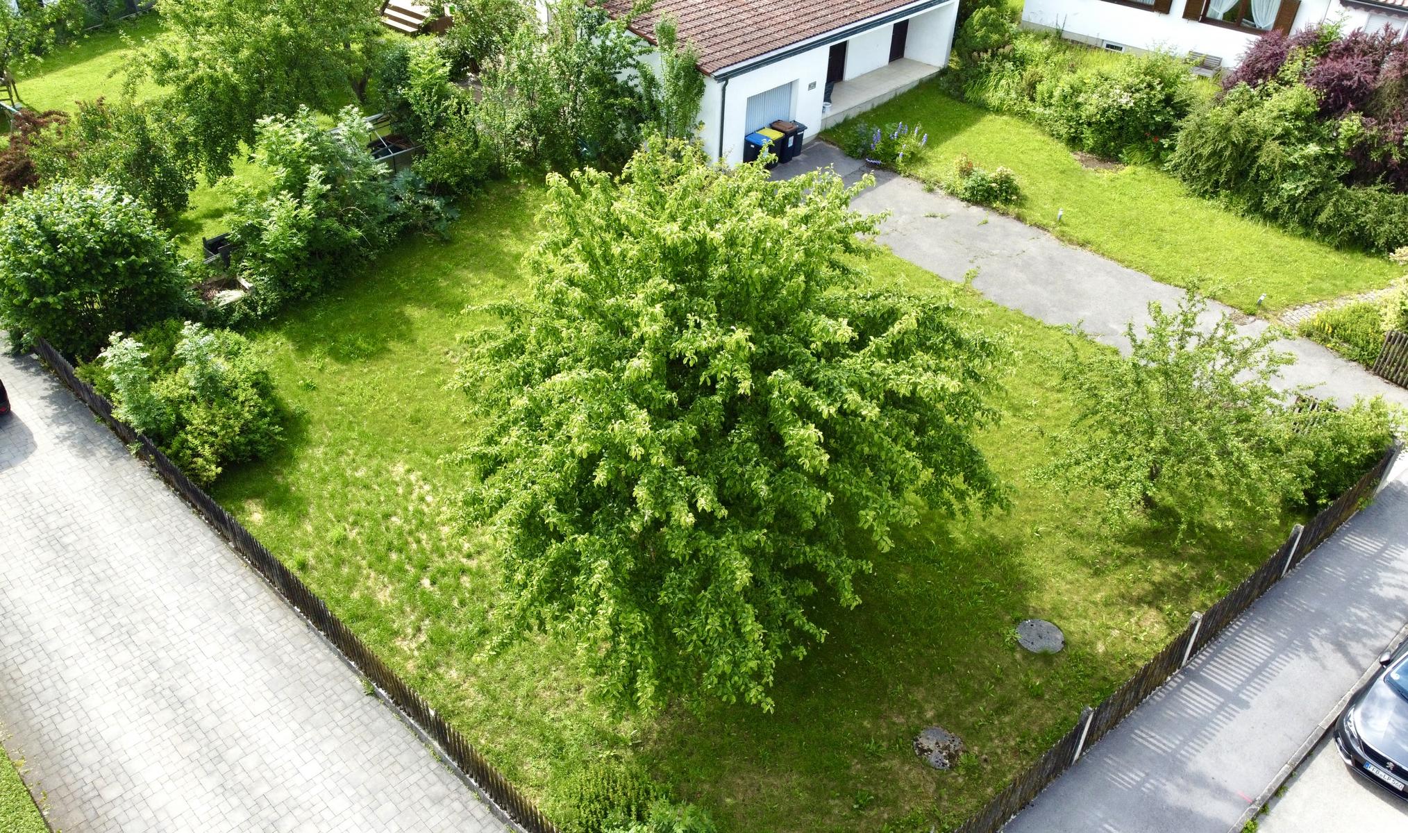 K1600 dji fly 20240604 160844 888 1717510184640 photo optimized