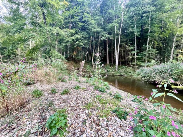 Windach Waldgrundstück4