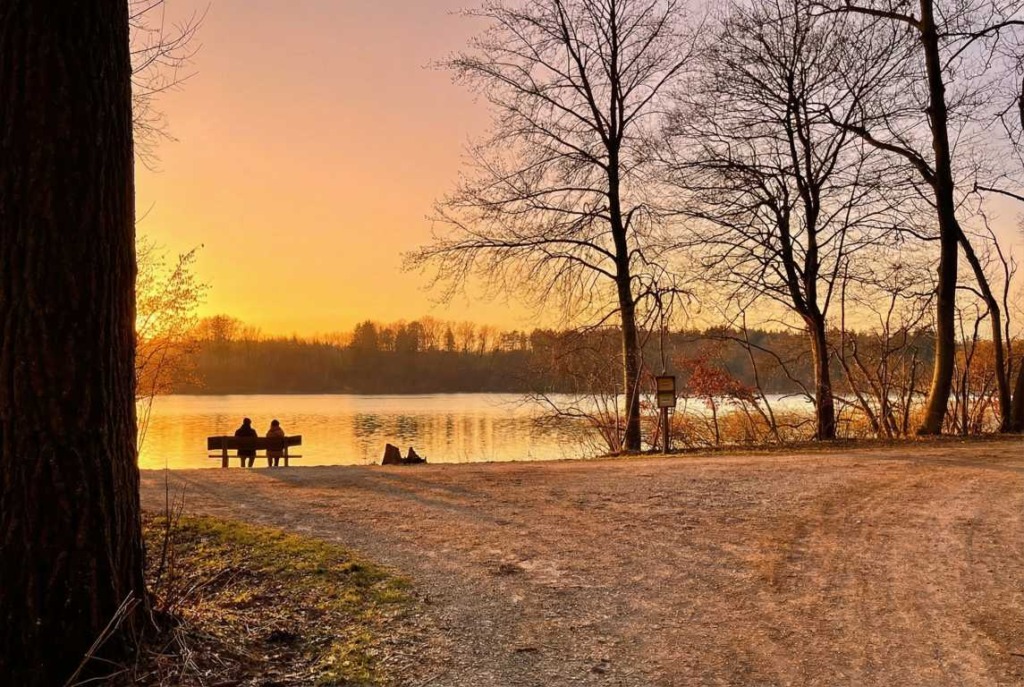 K1024 ewD8ySx2v3Sf34cRh8GBTransformTypeGOLDEN HOUR 44d5fa81 44e7 4857 858a 0f25bd3bd811 Wdj1 b6fFGFBt97Fg7 rO Rr6h3pyU